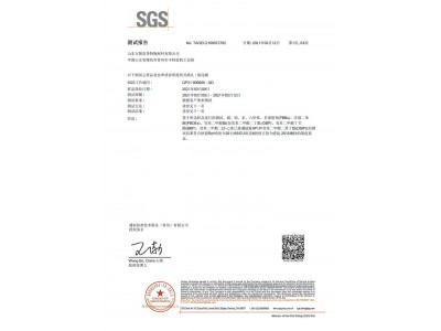 SGS2021中文版