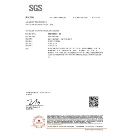 SGS2021中文版
